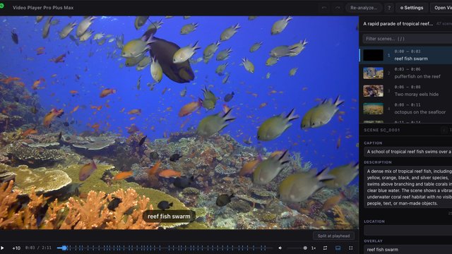 Video Player Pro Plus Max: Scene-aware video player and metadata editor with AI analysis via a local or cloud model farm.