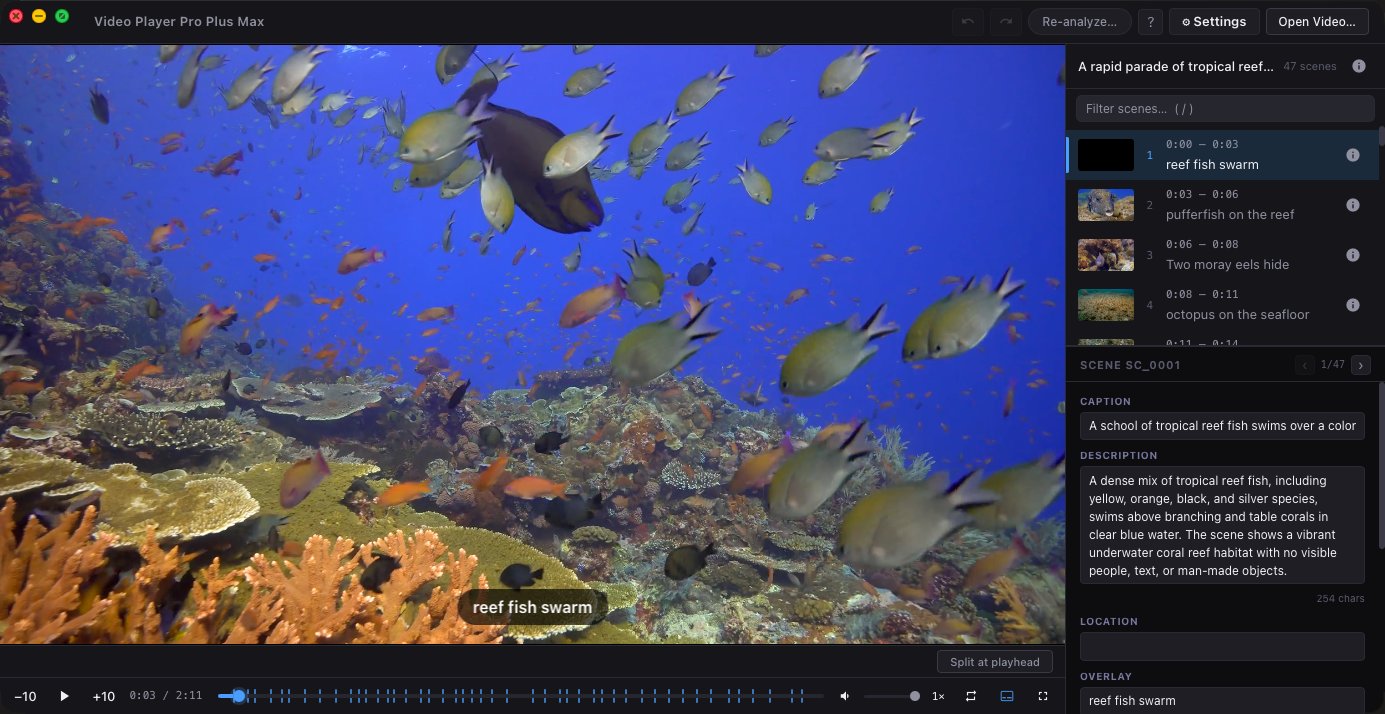 Video Player Pro Plus Max: Scene-aware video player and metadata editor with AI analysis via a local or cloud model farm.